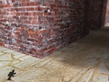 themes/vsp/img/gamepics/maps/halflife/cstrike/aim_sg552-aug.jpg