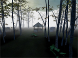 themes/vsp/img/gamepics/maps/halflife2/cstrike/awp_forest.jpg