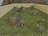 themes/vsp/img/gamepics/maps/halflife48/cstrike/awp_park2005.jpg