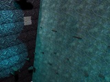 themes/vsp/img/gamepics/maps/halflife48/cstrike/kz_rambo_xen.jpg